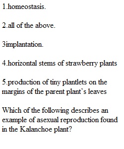 Quiz 5